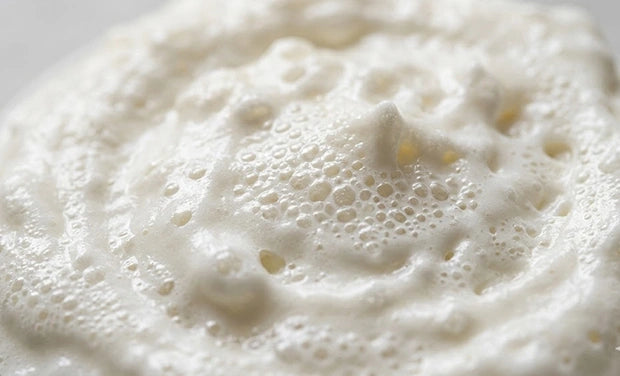 GABA (fermented)