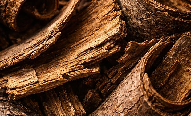 Magnolia Bark Extract