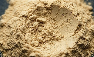 Panax Ginseng Extract