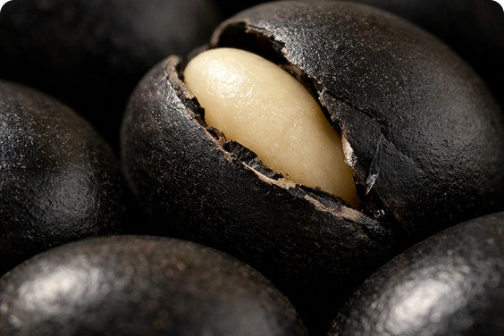 5-HTP (from Griffonia Seed)