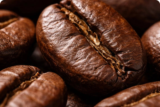 Arabica Coffee