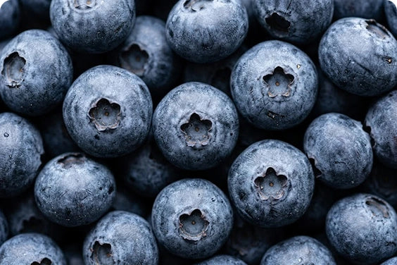 Blueberry Flavonoid